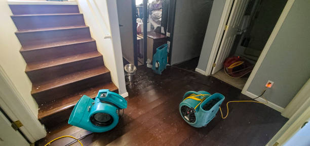 Best Emergency water damage restoration  in Woodstown, NJ