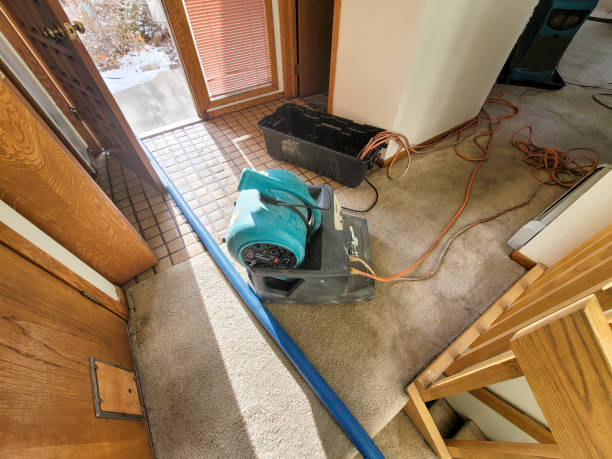 Best Basement water damage restoration  in Woodstown, NJ