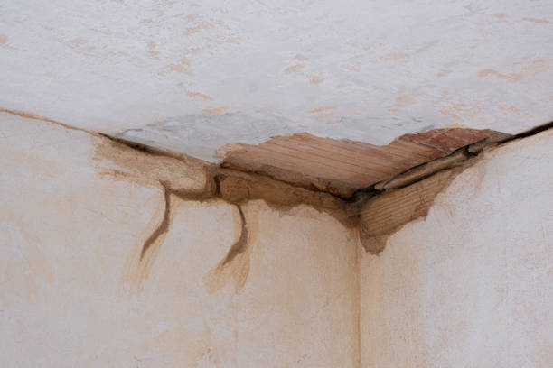 Best Sewage cleanup and water damage restoration  in Woodstown, NJ