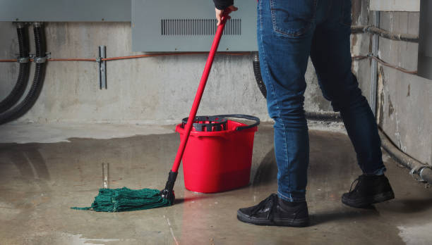 Best Water damage restoration near me  in Woodstown, NJ
