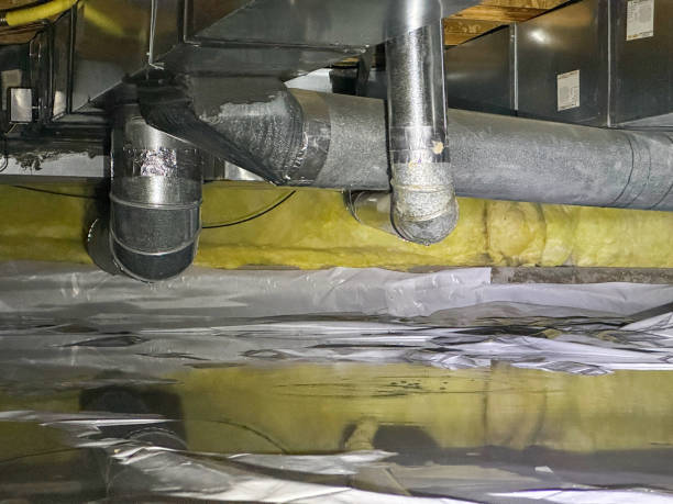 Best 24/7 water damage repair  in Woodstown, NJ