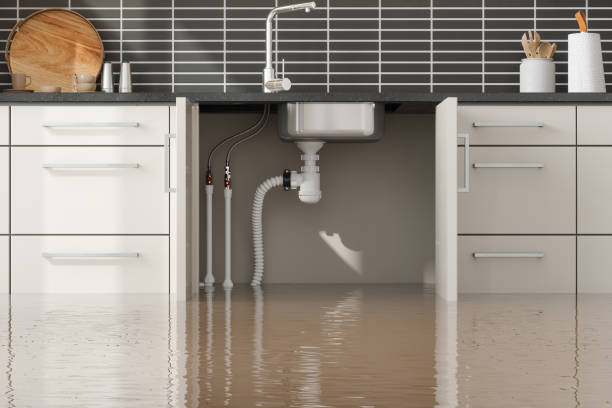 Best Water damage restoration specialists  in Woodstown, NJ