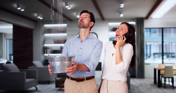Best Fire Damage Restoration  in Woodstown, NJ