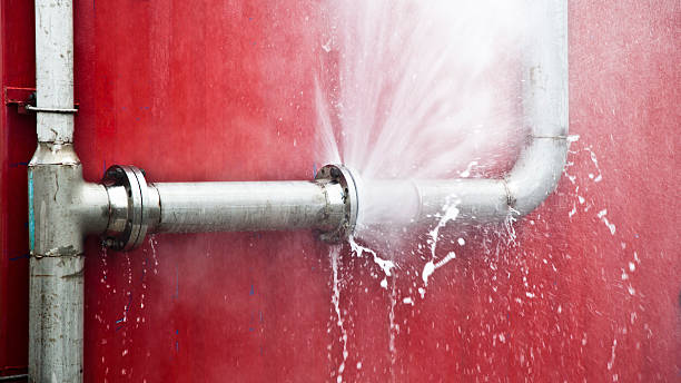Best Water damage restoration near me  in Woodstown, NJ