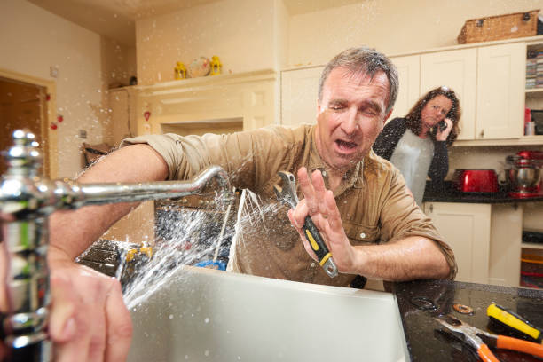 Best Water damage cleanup near me  in Woodstown, NJ